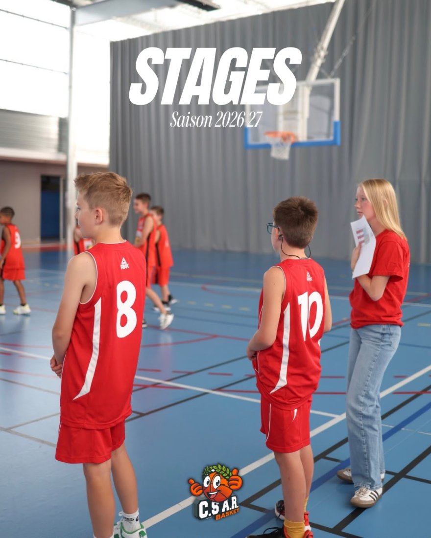 Stages Basket